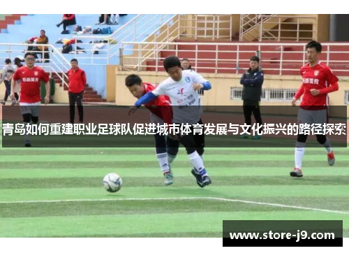 青岛如何重建职业足球队促进城市体育发展与文化振兴的路径探索