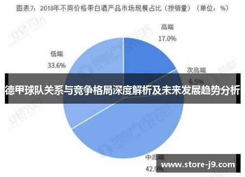 德甲球队关系与竞争格局深度解析及未来发展趋势分析 德甲球队关系与竞争格局深度解析及未来发展趋势分析