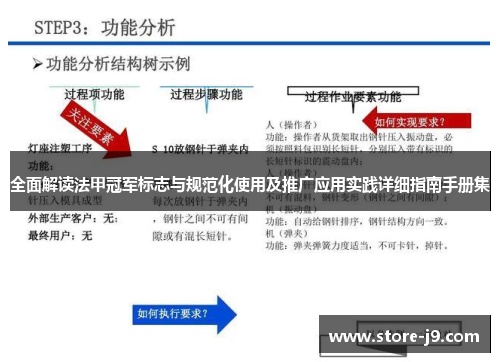 全面解读法甲冠军标志与规范化使用及推广应用实践详细指南手册集 全面解读法甲冠军标志与规范化使用及推广应用实践详细指南手册集
