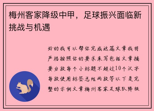 梅州客家降级中甲,足球振兴面临新挑战与机遇 梅州客家降级中甲,足球振兴面临新挑战与机遇